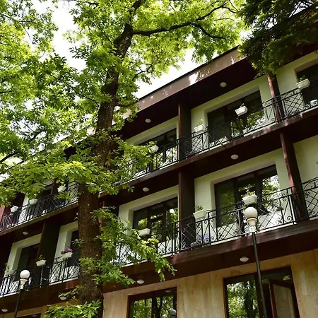 Boutique Lyulyak Hotel Starozagorski Bani