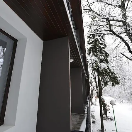Boutique Lyulyak 2* 스타로자고르스키 바니