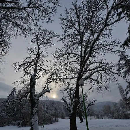 Hotel Boutique Lyulyak Starozagorski Bani
